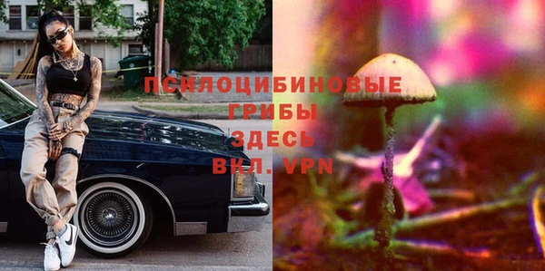 дурь Абдулино