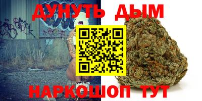 apvp Тулун