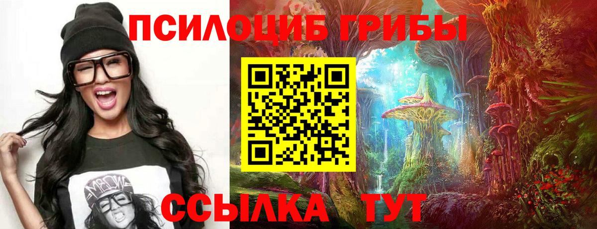 Псилоцибиновые грибы Psilocybe  Вход с VPN  наркота  Советская Гавань  Галлюциногенные грибы ЛСД 
