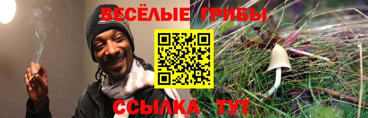 Псилоцибиновые грибы прущие грибы Советская Гавань